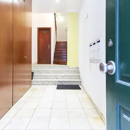 Rato Elegant By Homing * リスボン