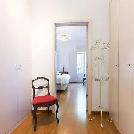 Rato Elegant By Homing *